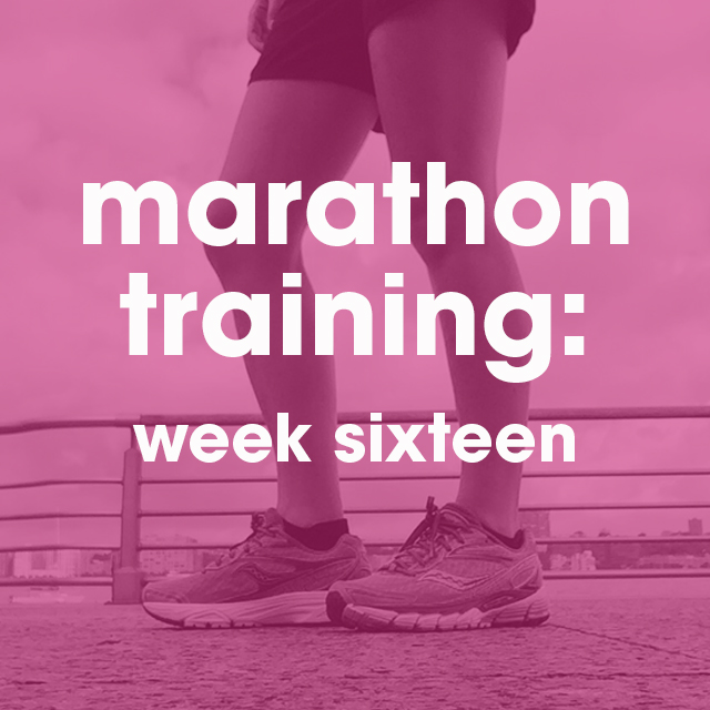 marathon training 16