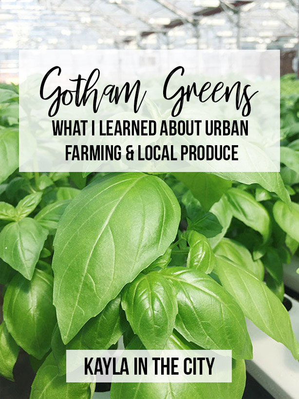 My Visit to Gotham Greens: What I Learned About Urban Farming in NYC